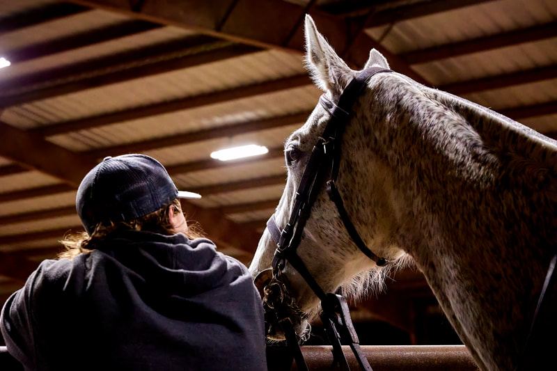 Player with Horse